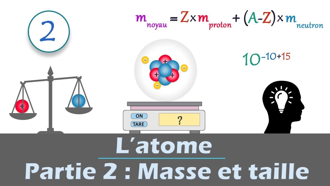 Calculer la masse d'un atome et comparer sa taille | Physique - Chimie | Lycée