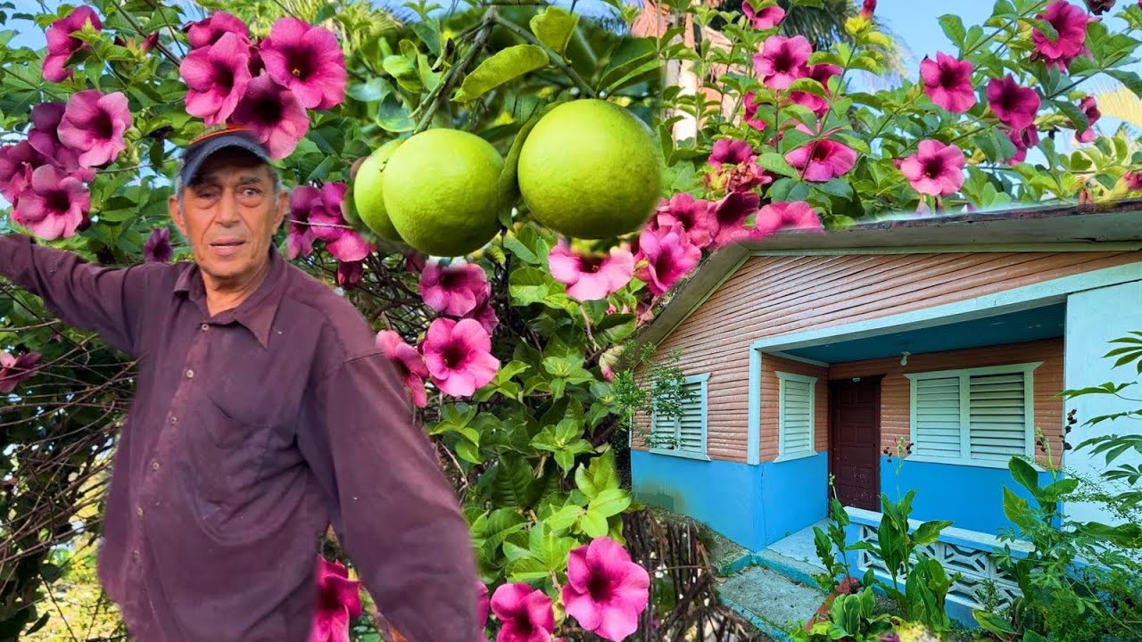 EL CAMPO EL CUPEY DE REPÚBLICA DOMINICANA ES Hermoso