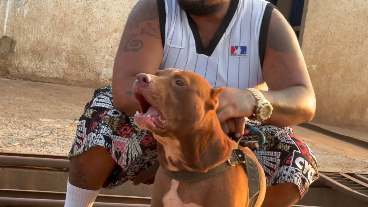 Mente Criminal | Mano Denis: 