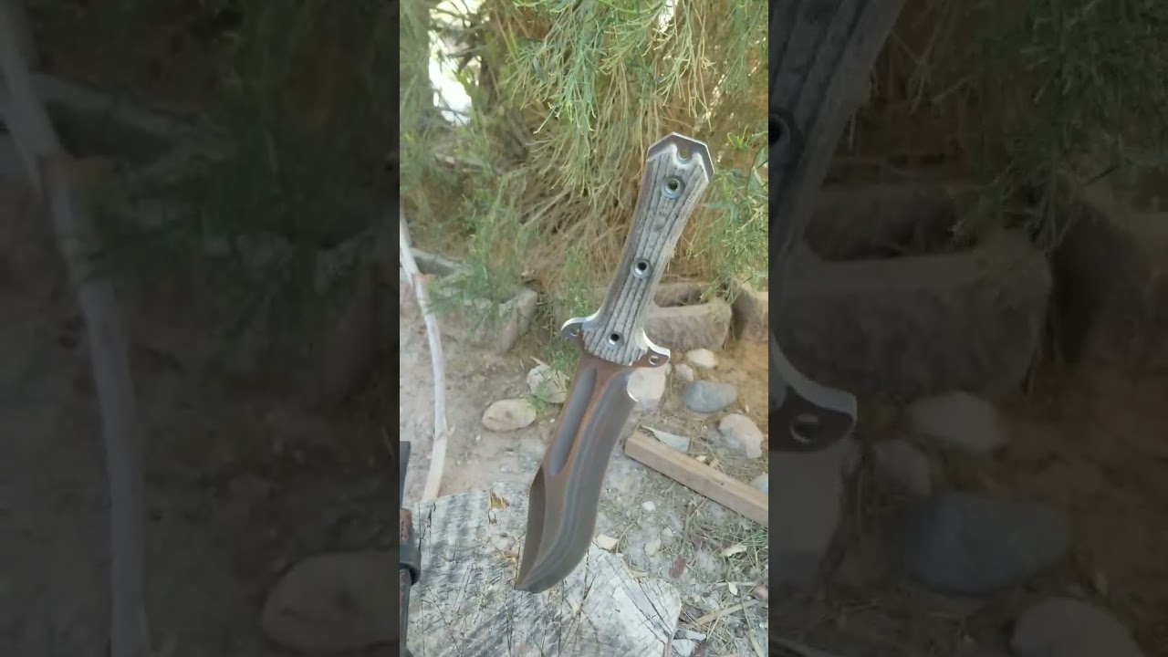 Busse Combat Trough Raider @busseknife #subscribe #shorts #camping #combat #outdoors