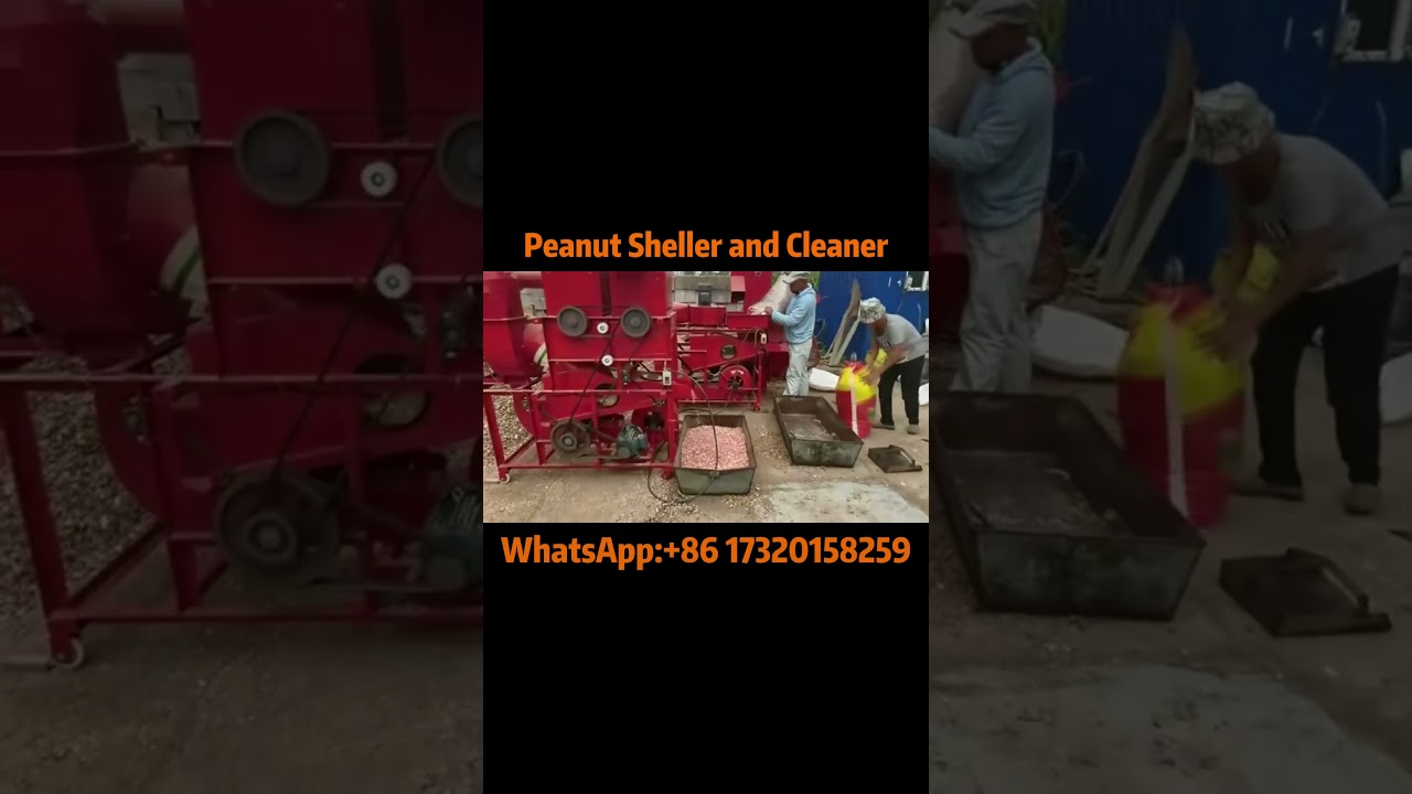 Effortless Peanut Shelling & Cleaning | High-Speed Peanut Processing Machine#peanut