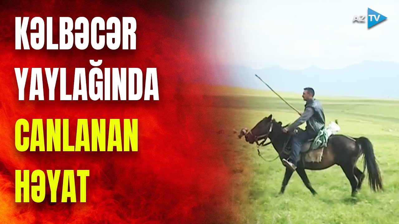 Kəlbəcərdə çadırlar quruldu: səs-küyə bürünən, canlanan azad dağlar