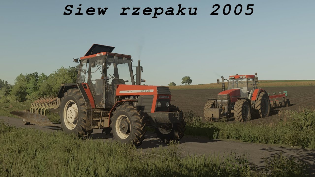 Siew rzepaku 2005