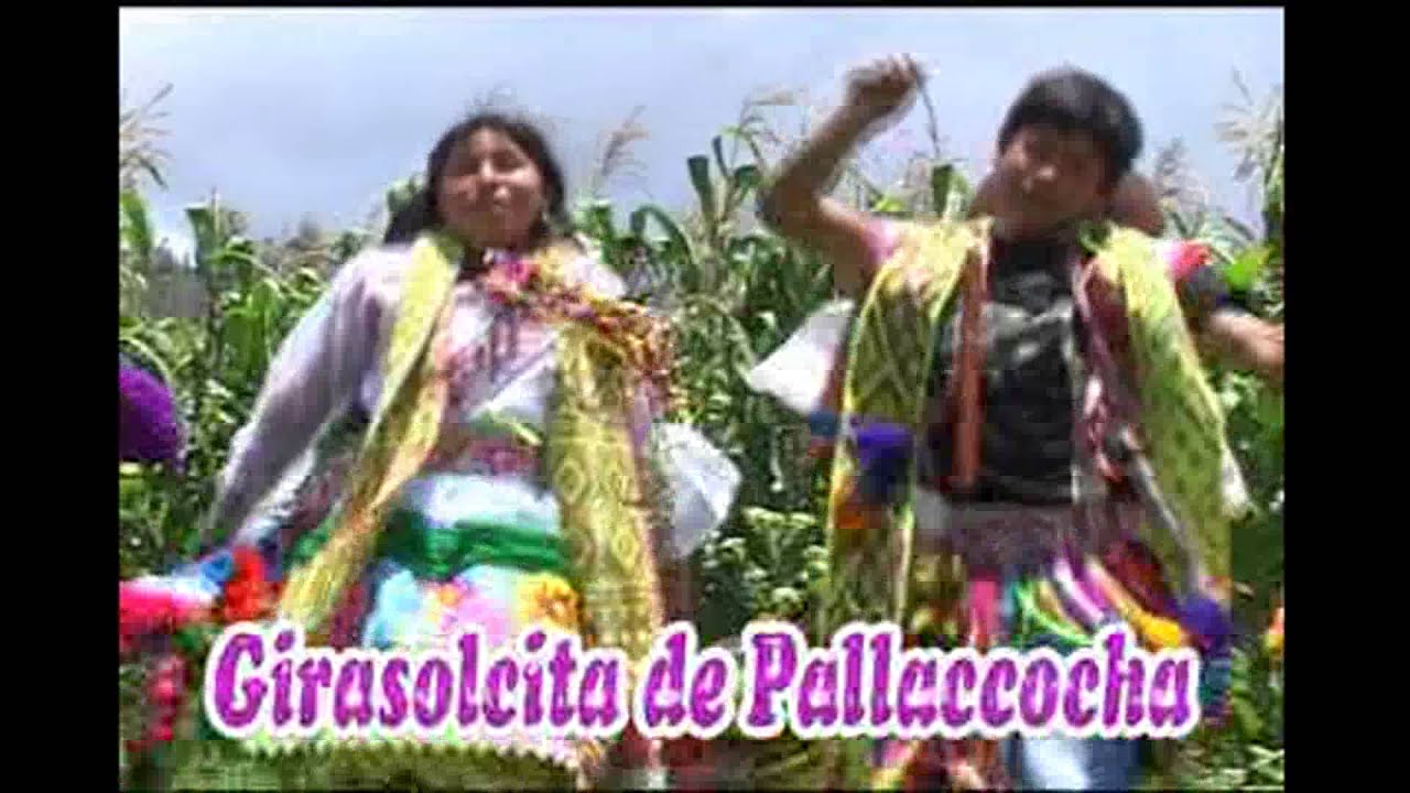 Girasolcita de pallaccocha-(quien te dijo q me amas) andahuaylas  apurimac