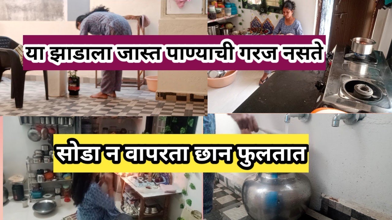 🌳या झाडाला आठ दिवसातून एकदा पाणी देते,💁 सोडा न वापरता ही छान होतात My daily routine vlog 🙏