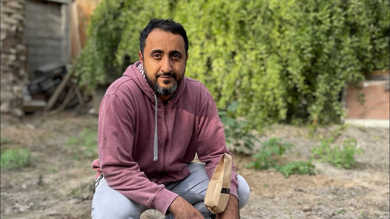 طريقة تطعيم اللوز في شهر فبراير 2 انجليزي مع المبدع عبدالله العامر