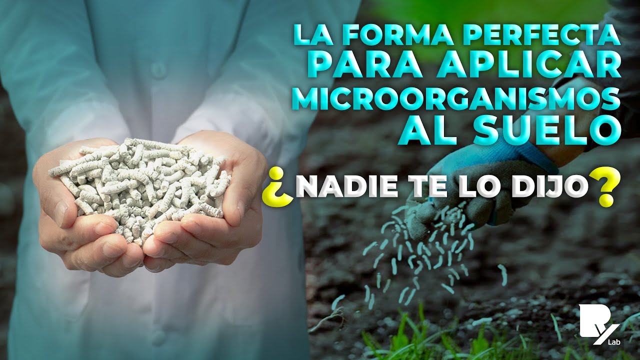 ☣️ CONTROLA PLAGAS, NEMATODOS Y HONGOS DEL SUELO CON PELLETS BIOACTIVOS 🌱‼️
