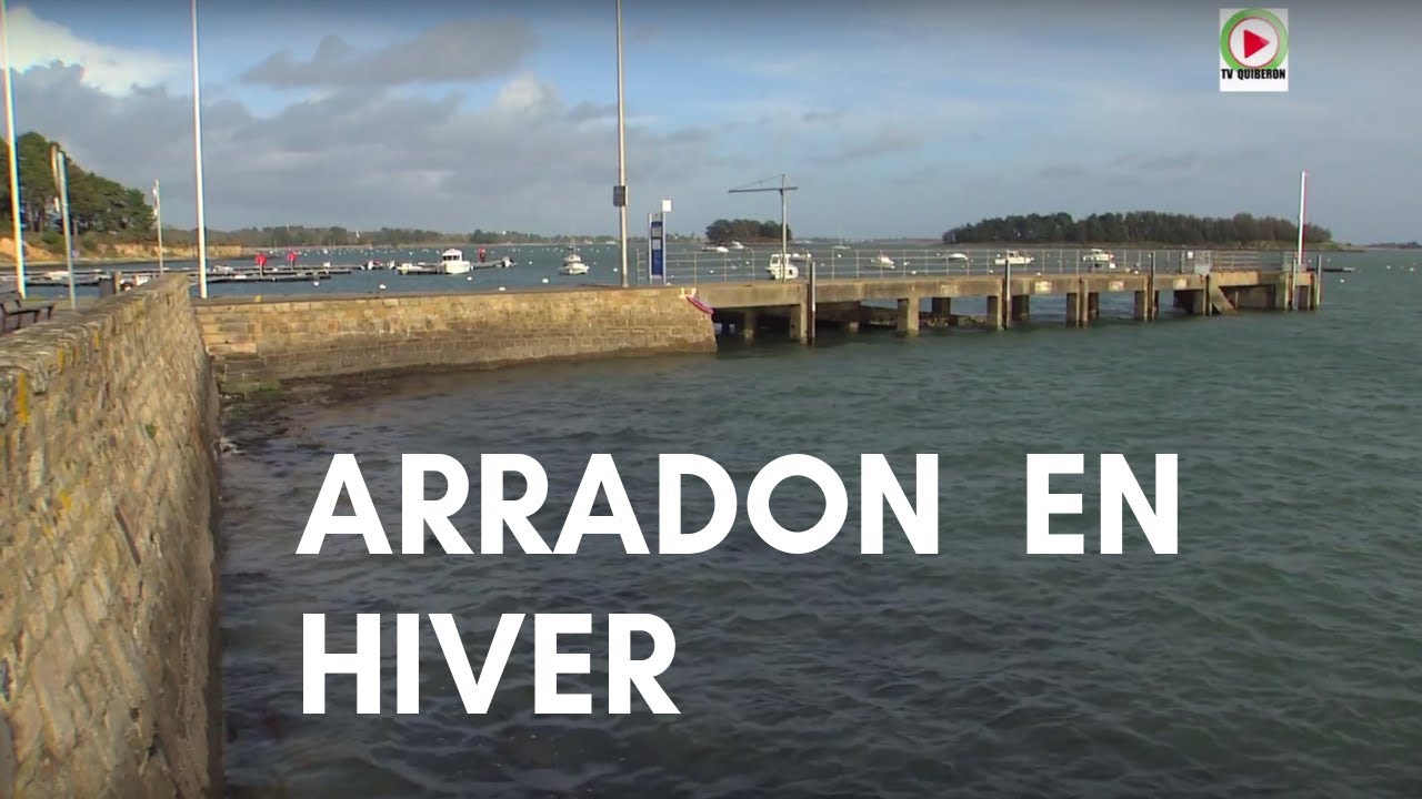 ARRADON |  🚤  Petit dodo du Port en Hiver - VANNES T&eacute;l&eacute;