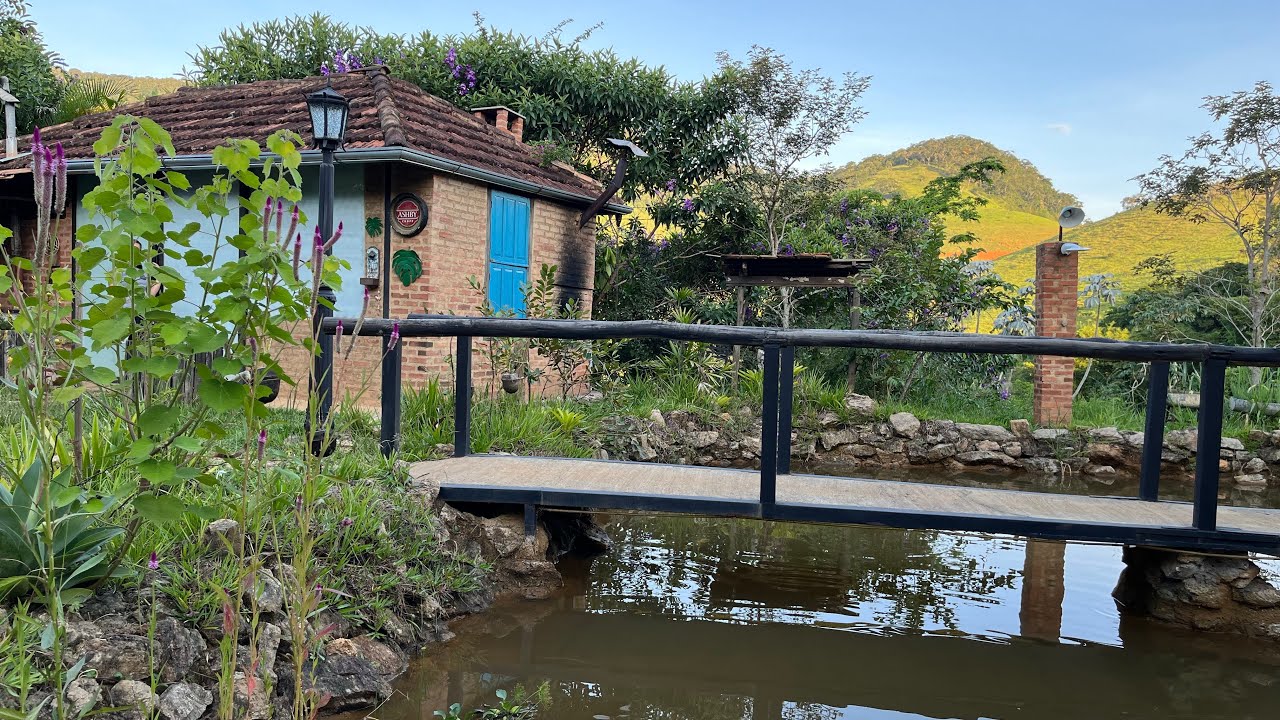 Tour pelo Nosso Jardim com Muitas Novidades