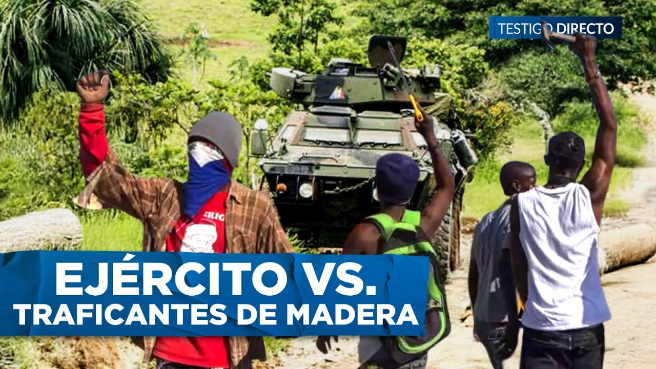 Brutal Enfrentamiento entre Ejército y traficantes de madera en el Chocó: ‖ ESPECIAL Chocó (4/4)