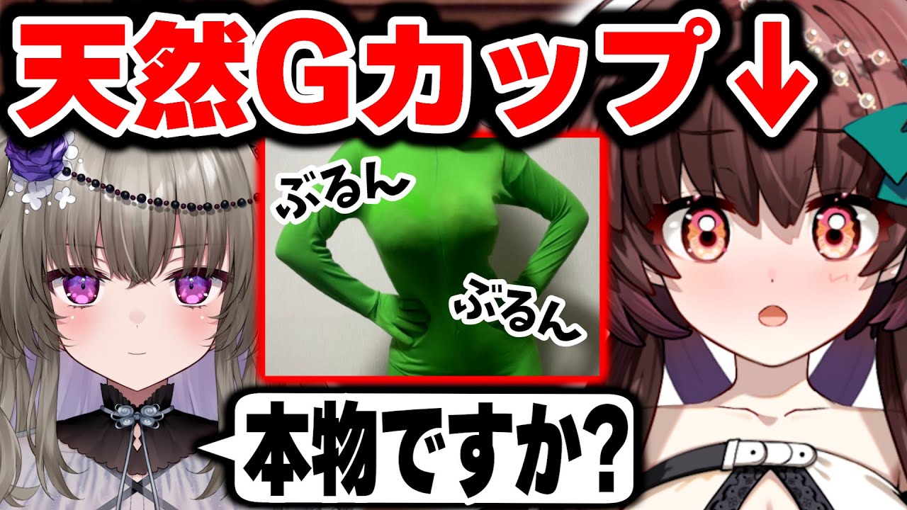 天然Gカップの巨乳Vtuberが本物を証明！？体を張って証明する天藤あかねとボロが出て自滅する冥鳴ひまり【切り抜き/Vtuber】