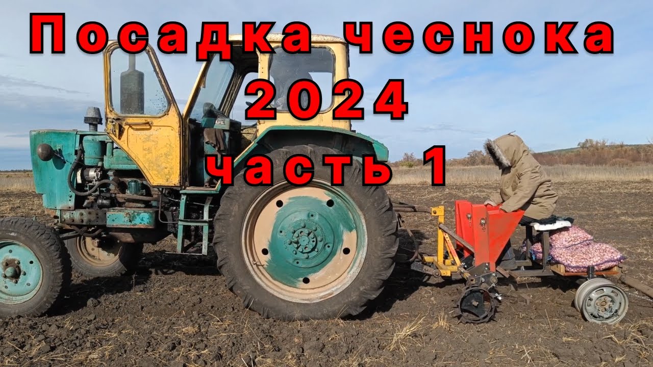 Посадка чеснока осень 2024 Часть 1