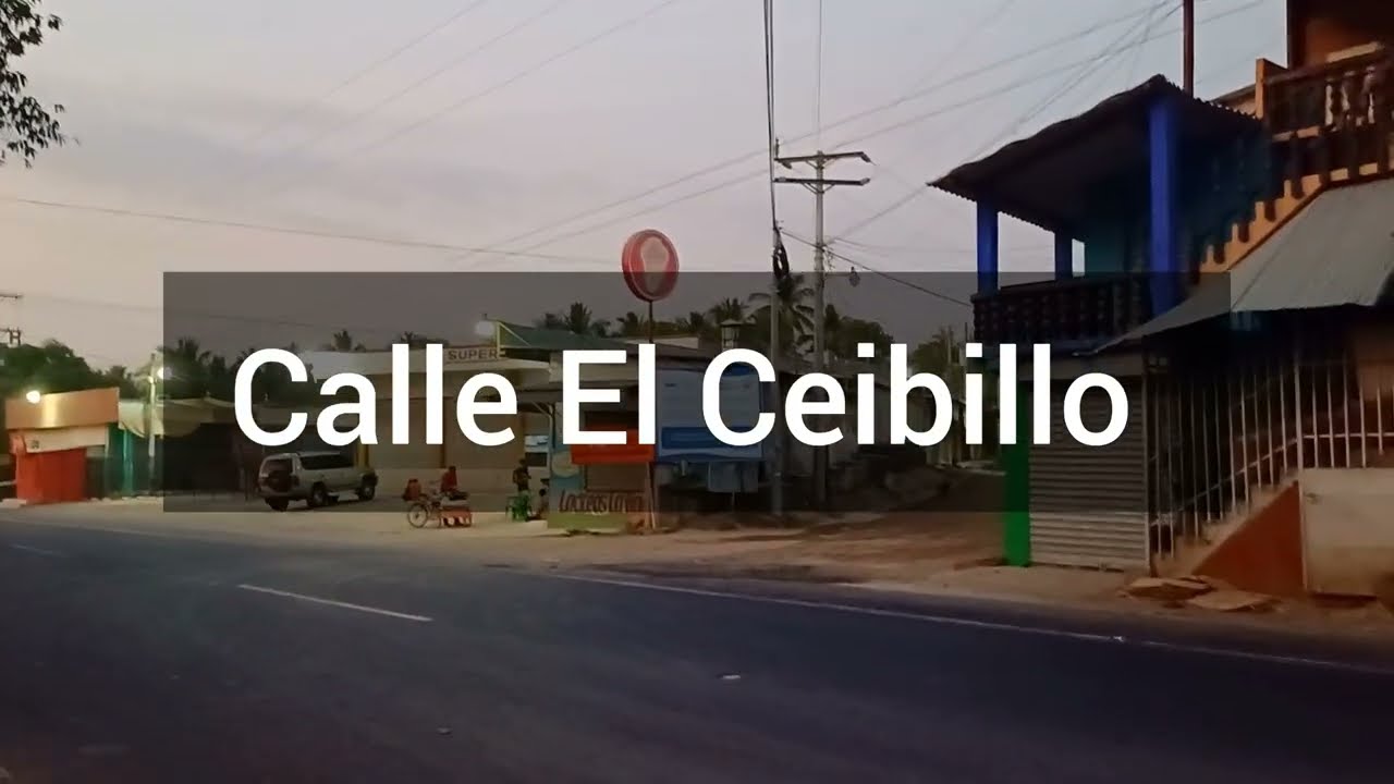 Calle del Ceibillo 2024
