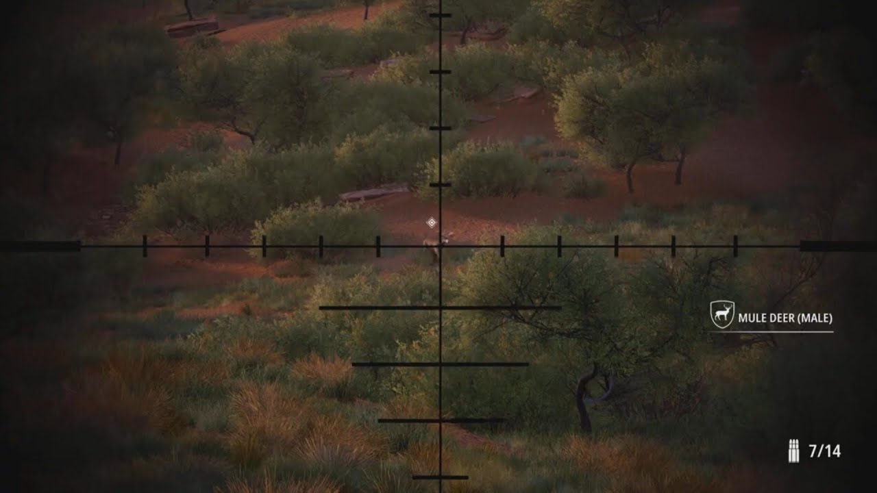 A short Hunting Simulator 2 Kill Compilation!