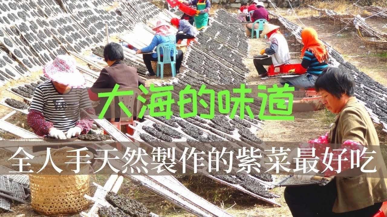 【紫菜是怎麼製成的?】汕頭美食|汕頭旅遊\壯觀的紫菜養殖基地|海味珍品|頭水紫菜.紫菜中的極品+天然曬製.酥脆鮮甜(2021)