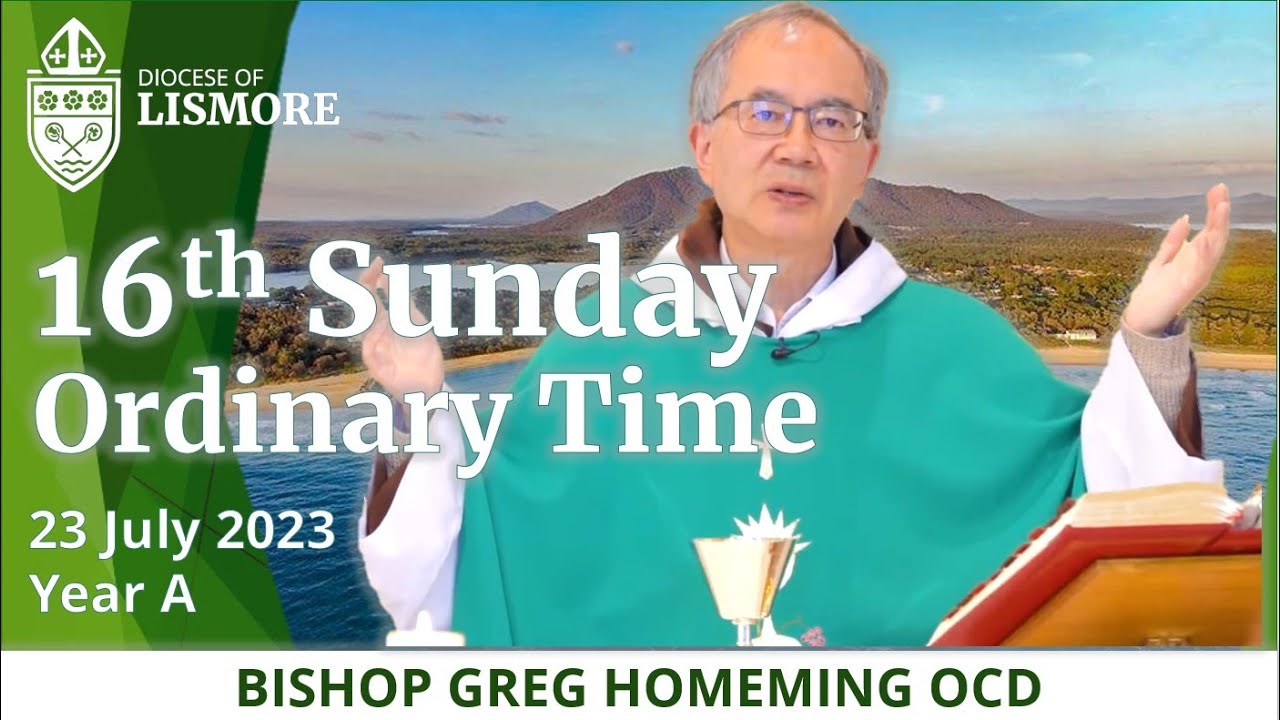 Catholic Mass Today 16th Sunday in Ordinary Time 23 July 2023 Bishop Greg Homeming Lismore Australia