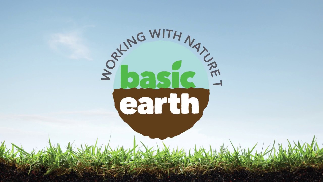 Mustard - Cover Crop Basics