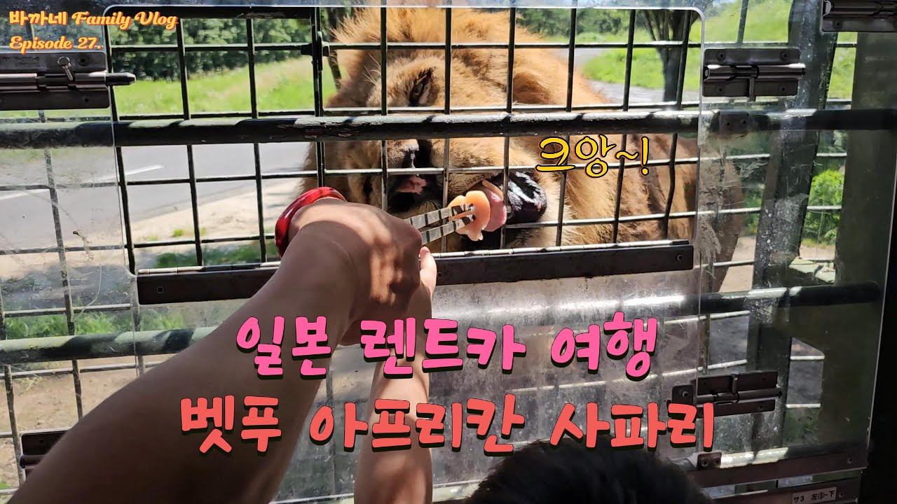 일본 여행 브이로그 | 후쿠오카에서 벳푸 아프리칸 사파리 자차 체험기!