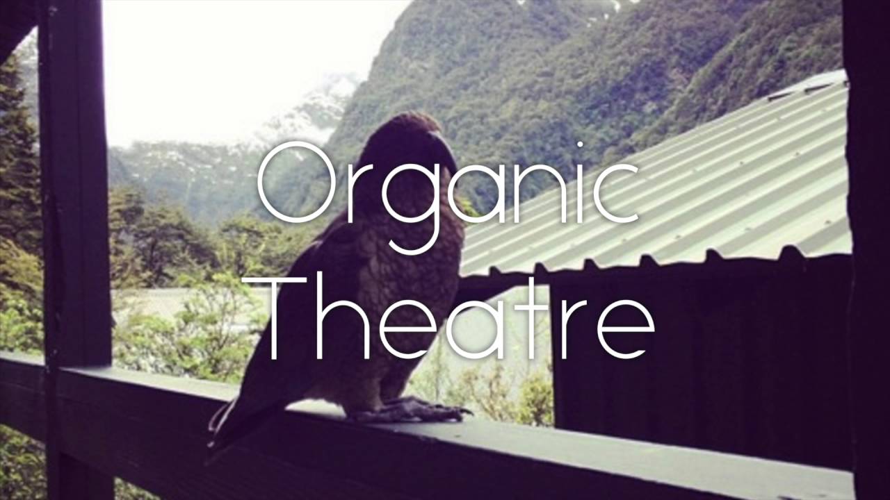 Ymbk Borraginol - Organic Theatre 2013-0114 [Free Download]