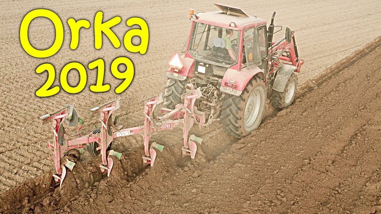Sucha Orka 2019 ㋡ Pronar 1025A & Unia Ibis 4
