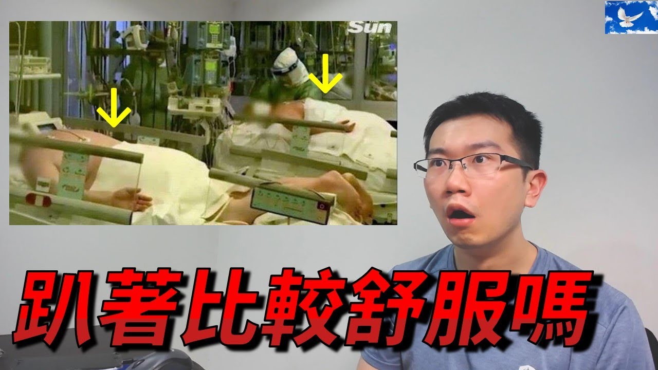 [肺片] 呼吸窘迫，為何要趴著治療? | 蒼藍鴿聊醫學EP127