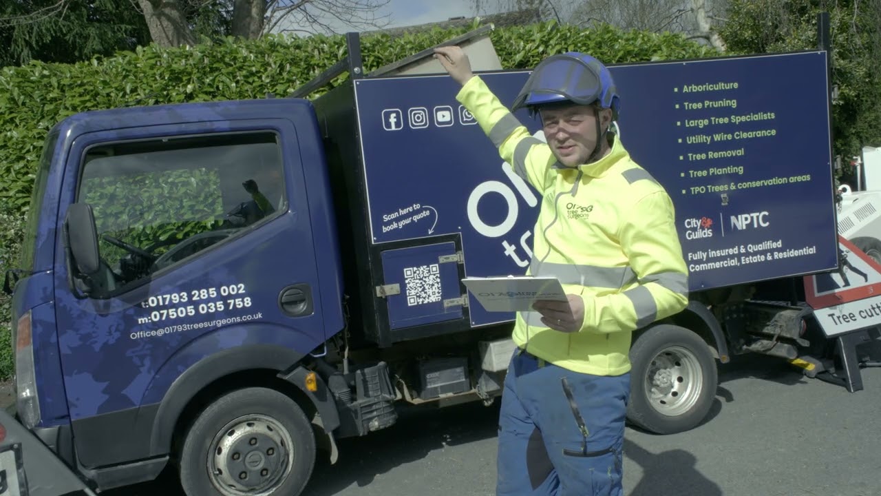 01793 Tree Surgeons LTD in action