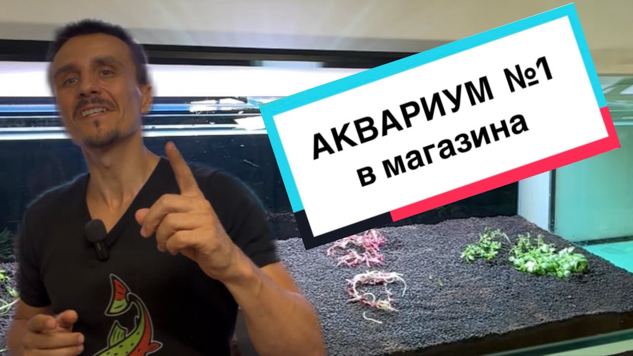 Правя първия аквариум в моя магазин!