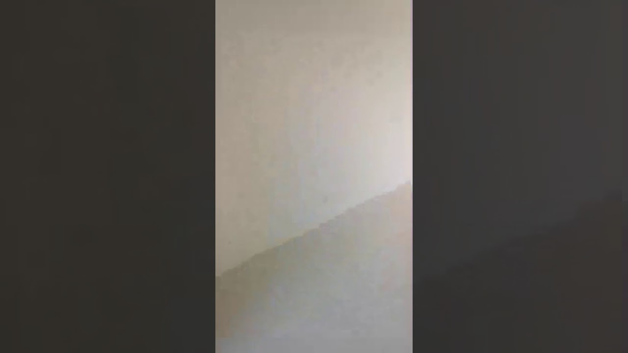 Apartamento tipo F Bisono