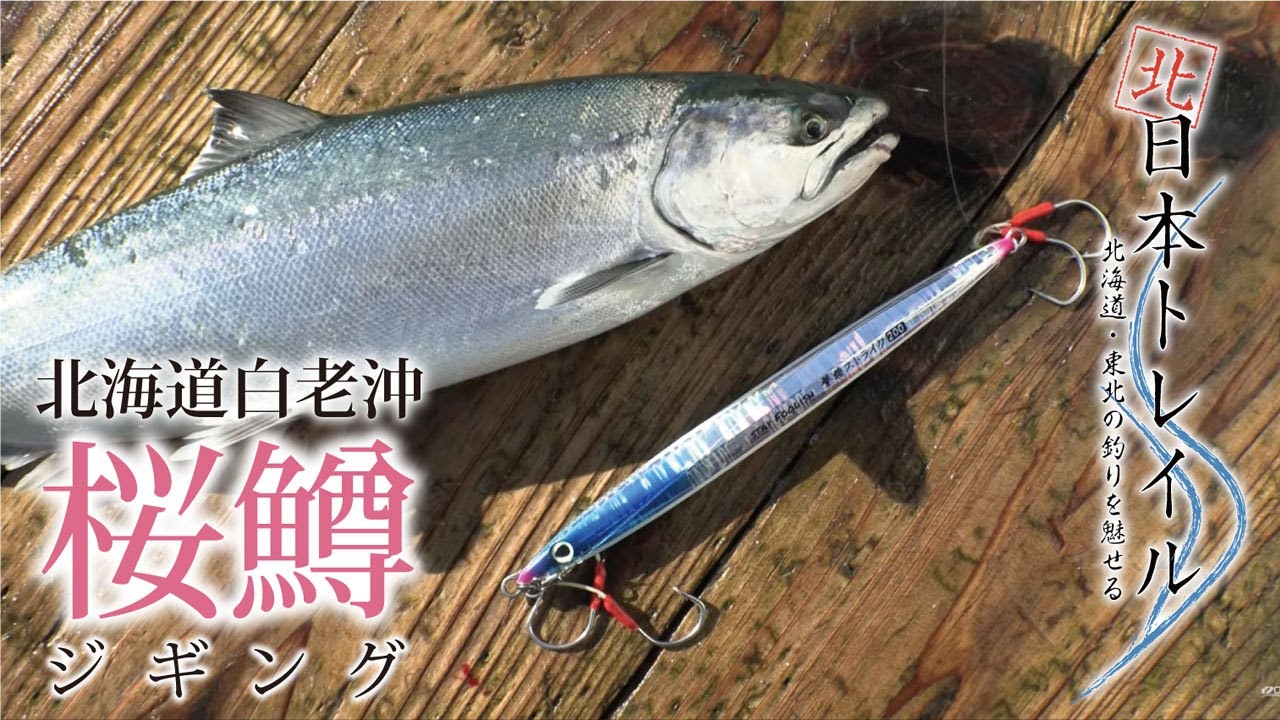 北海道白老沖 桜鱒ジギング【北日本トレイルvol.11】