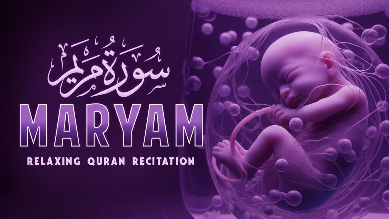 Surah Maryam  سورة مريم   Most Beautiful Lofi Quran Recitation That Touches the Heart 🤍 love
