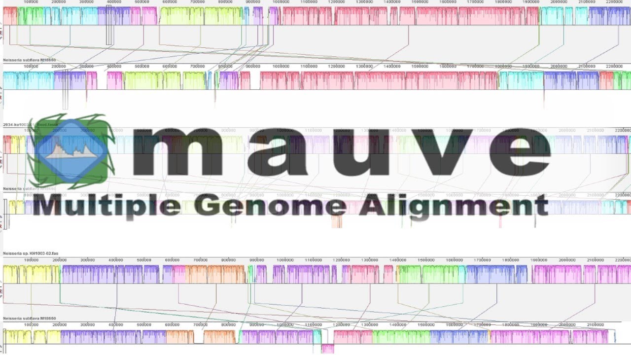 Using MAUVE for multiple genome alignments.