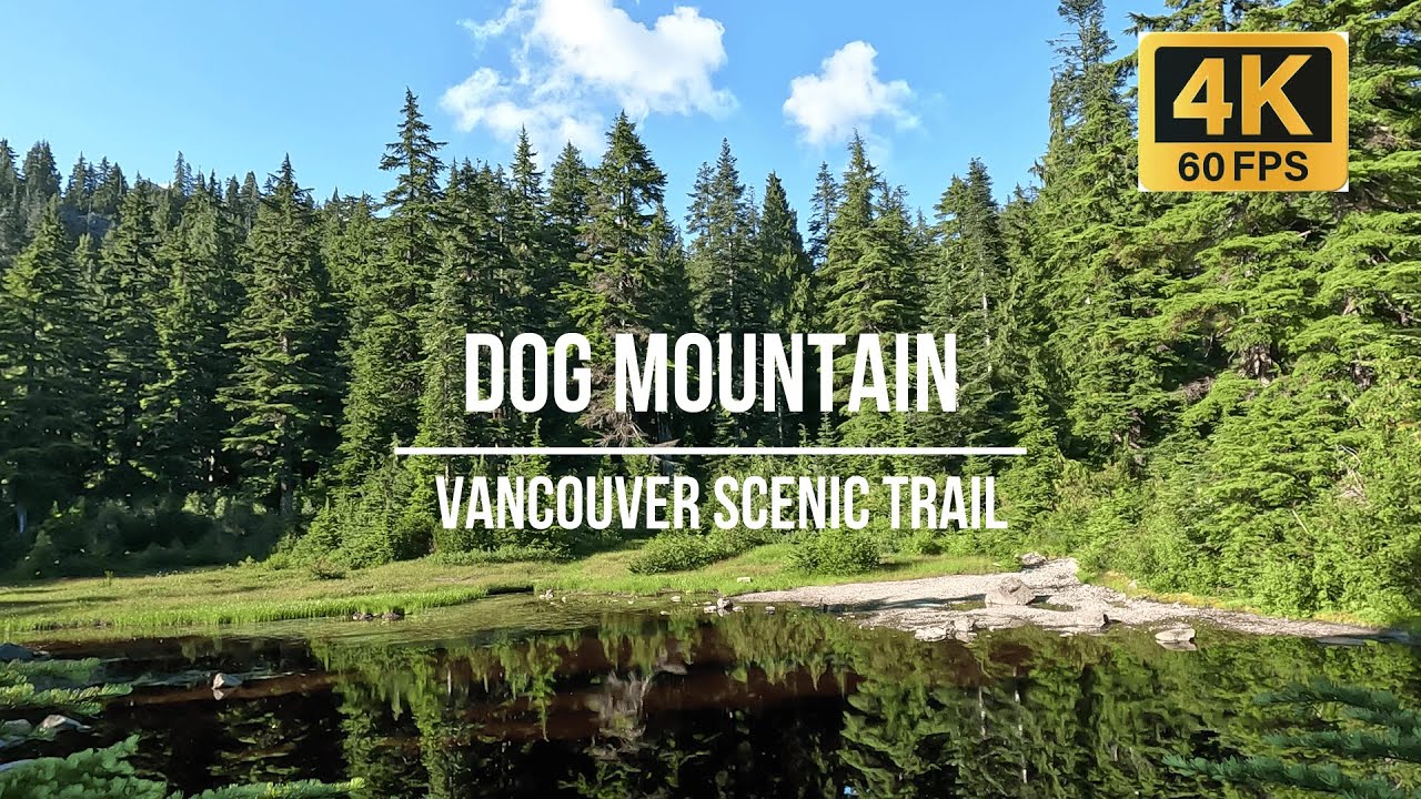 Hiking to Dog Mountain, Mt Seymour Provincial Park | Beautiful Views | Vancouver Scenic Trail in 4K