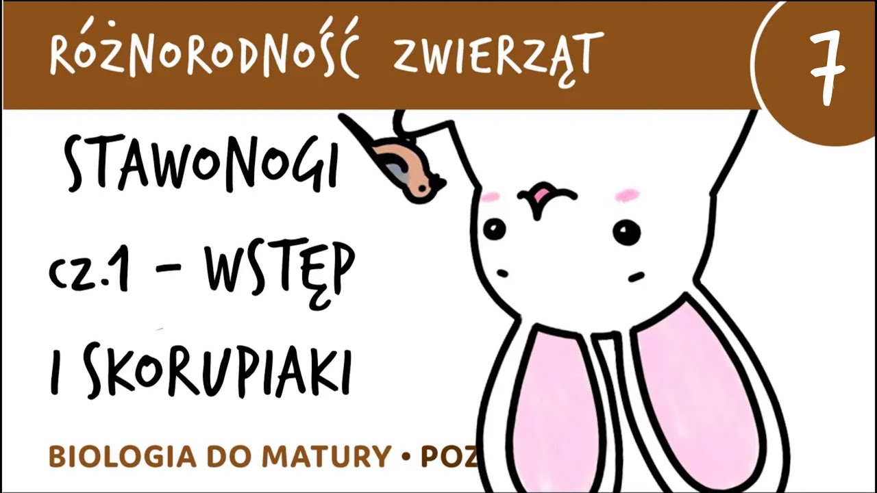 Różnorodność zwierząt 7 🐸 Stawonogi (wstęp i skorupiaki) - matura z biologii rozszerzona