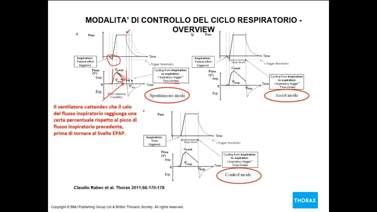 NIV: per chi suonano gli allarmi