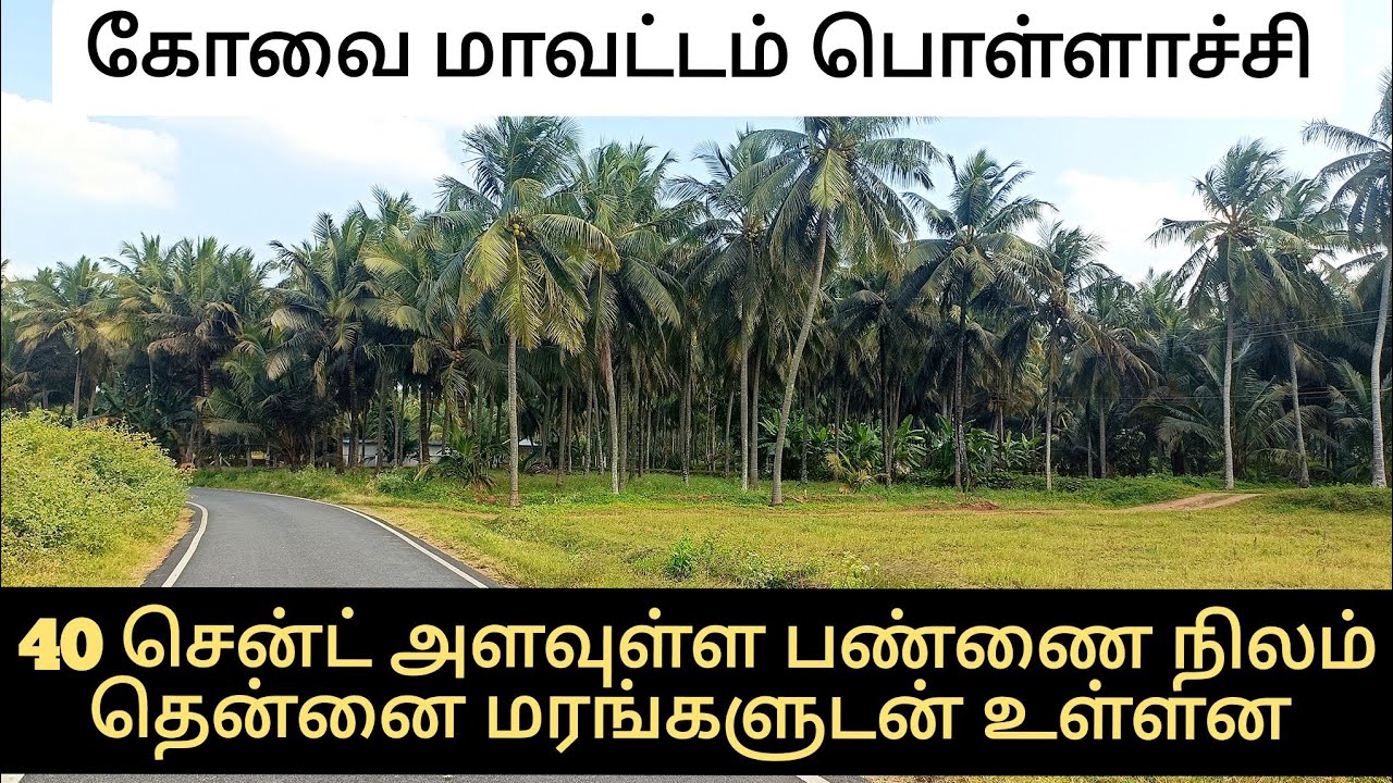 40 சென்ட் இடம் 35 தென்னை மரங்களுடன் கூடிய பண்ணை நிலம் விற்பனைக்கு பொள்ளாச்சி புரவிபாளையம் 