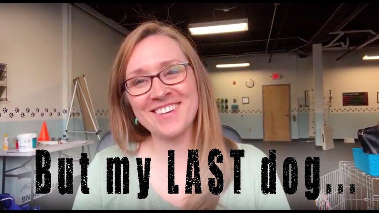 But my LAST dog... Training Tip Tuesday