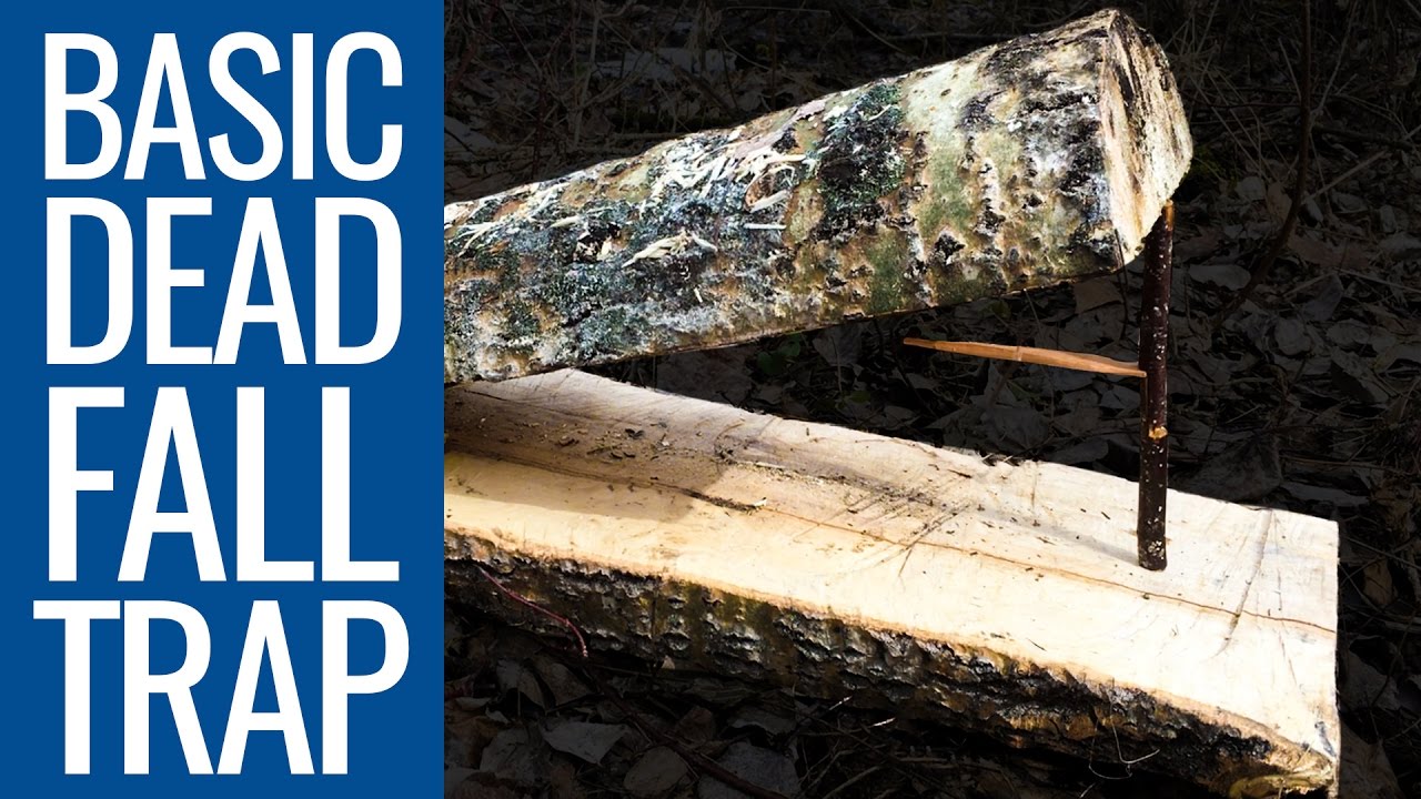 The Split Stick Deadfall Trap - Bushcraft Trapping Technique