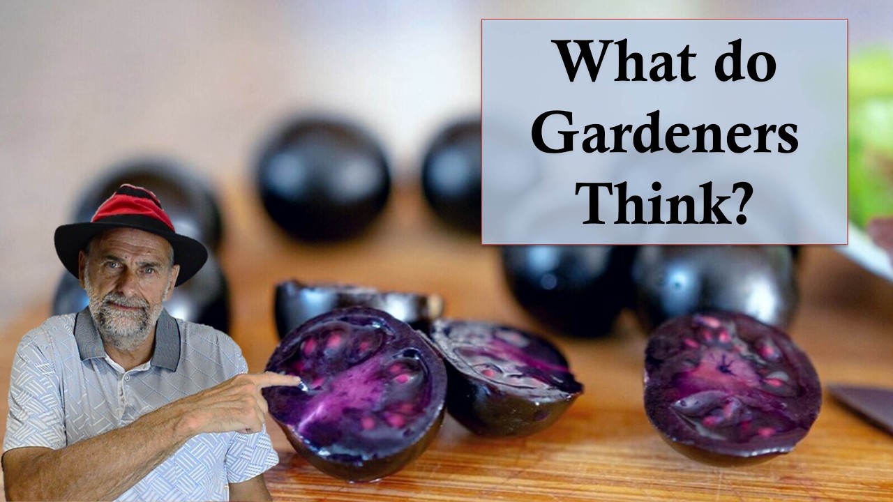 What do Gardeners Think about the New 