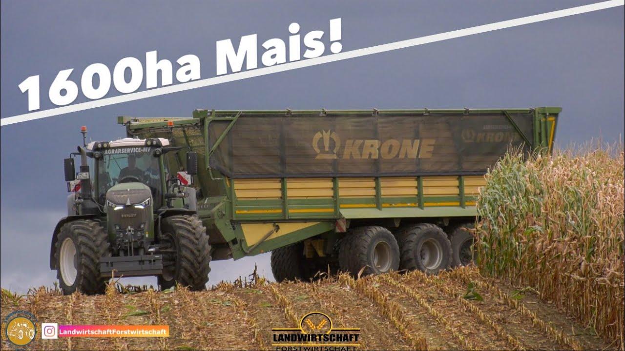 Das Unwetter kommt! Agrarservice-MV bei der 1600ha Maisernte Jaguar 990 TT Lohnauftrag Maishäckseln