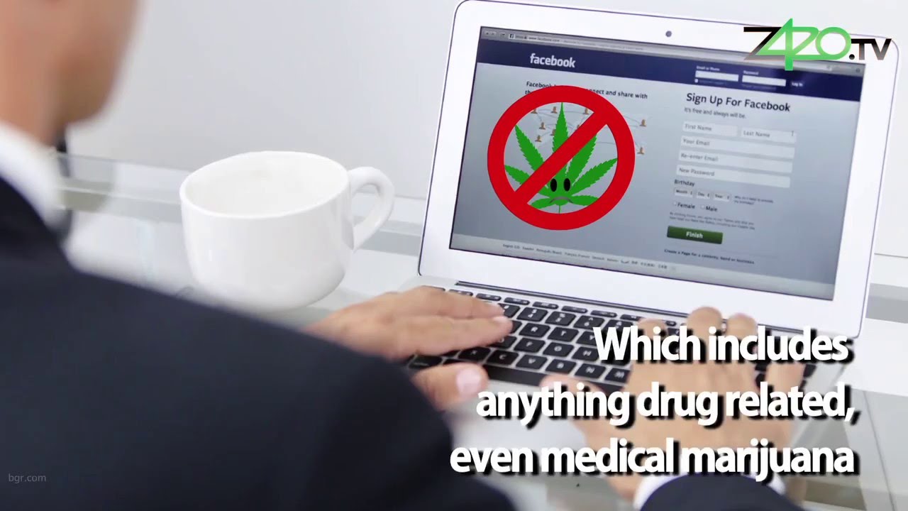 Weed Apps For iphone and Android