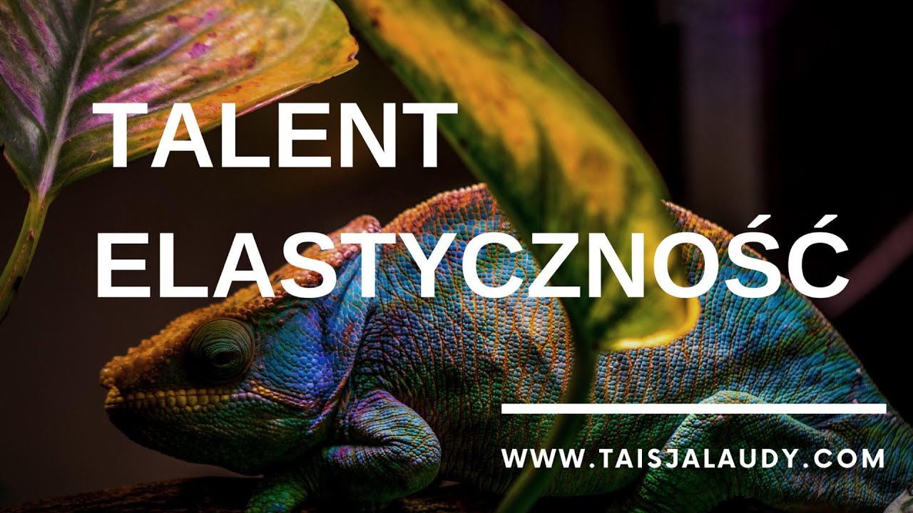 Talent Elastyczność (Adaptability) - Test GALLUPa, CliftonStrengths