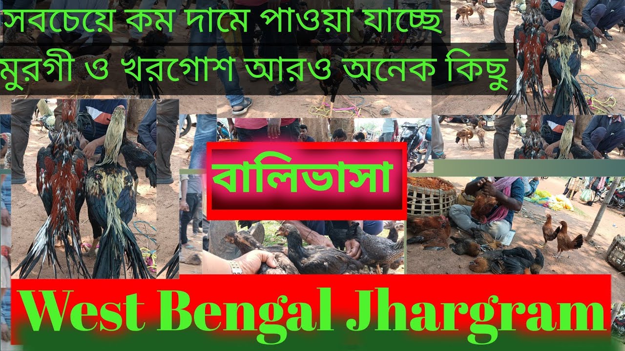 Balibhasa Hat।। বালিভাসা হাট।। ঝাড়গ্রাম জেলার হাট।।feko Haat।। Kukru hat।। Taltol hat।। poradih hat