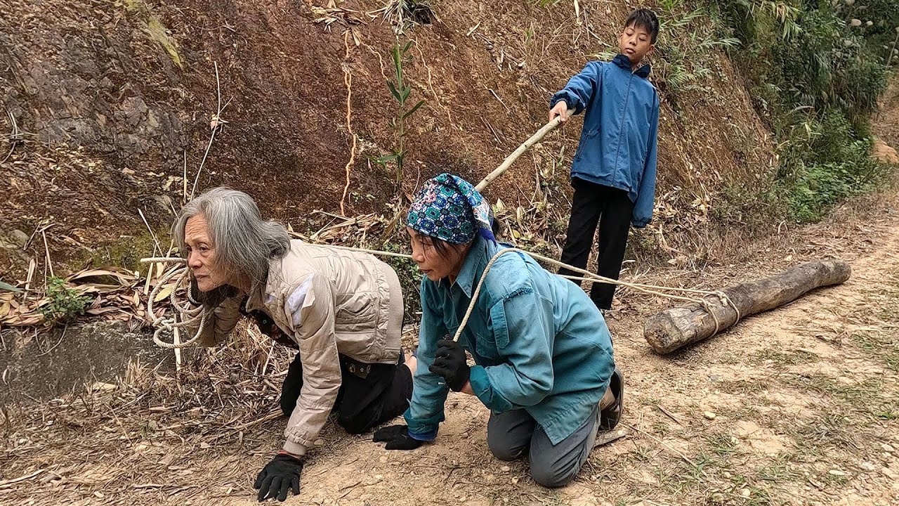 Two homeless single mothers have to haul wood for their landlord to pay off their debt. Lý Tiểu Lina
