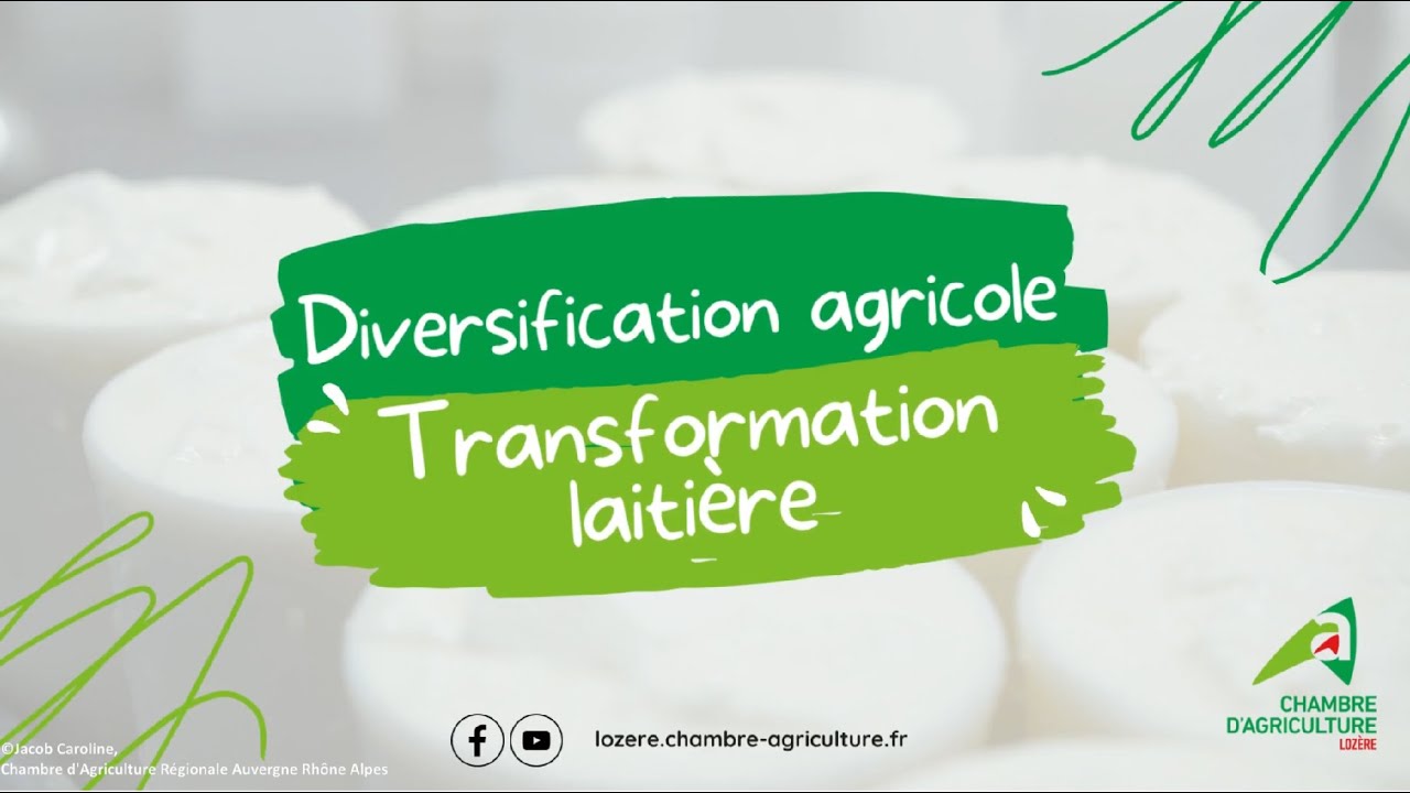 Diversification agricole : la transformation laitière