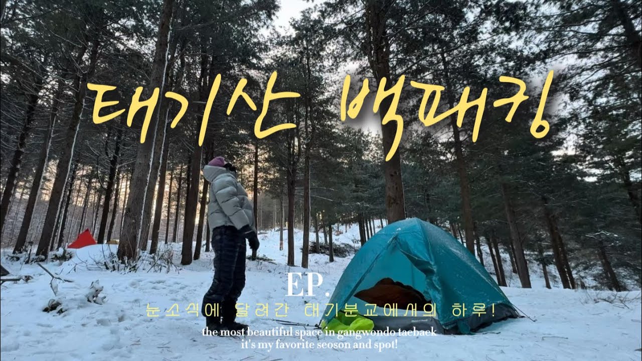 눈오자마자 달려갔어요 태기산 백패킹! | 썰매맛집 태기산 🛷❄️ 