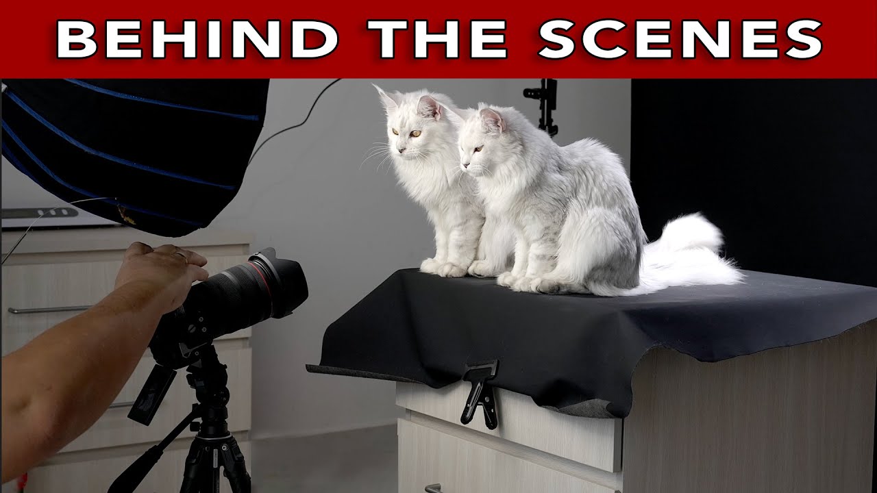 Behind the scenes of a photoshoot.