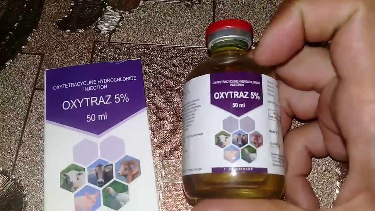 OKSITETRACIKLIN 5% IYNESI XESTELIKLER UCUN 2019