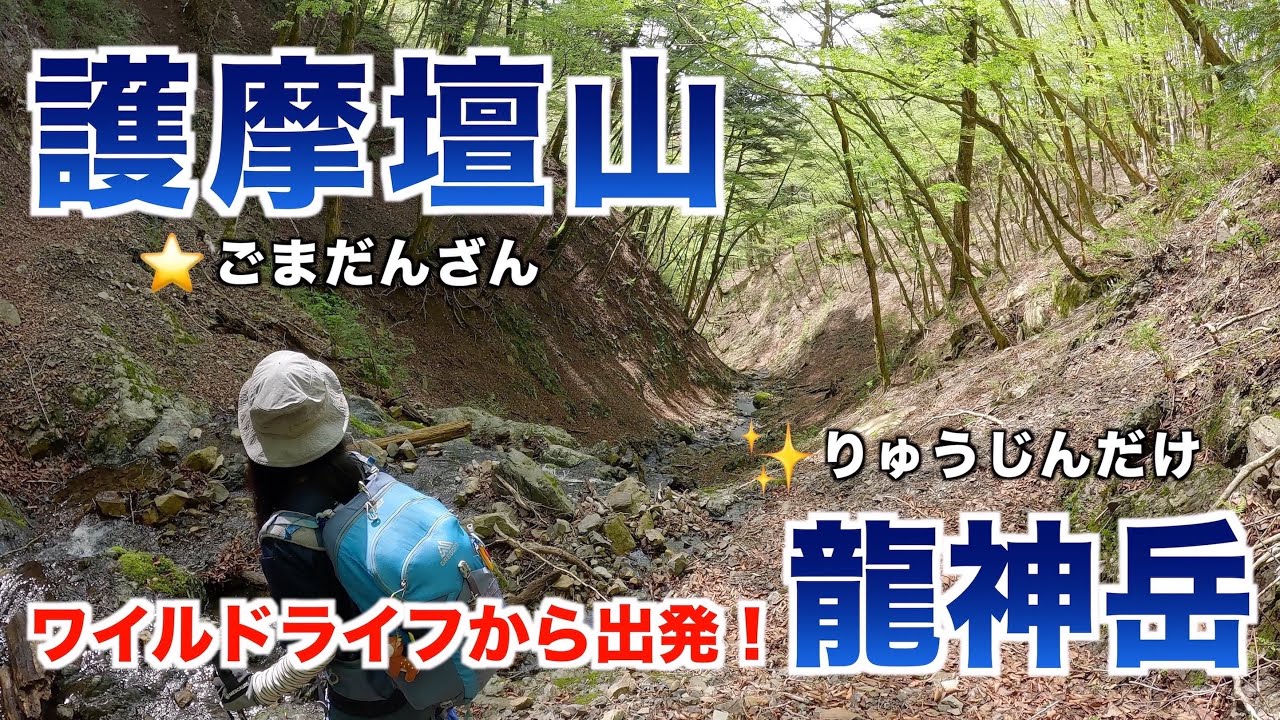 【関西百名山】ワイルドな道のワイルドライフから護摩壇山と龍神岳に登ってきました✨（和歌山県龍神村）