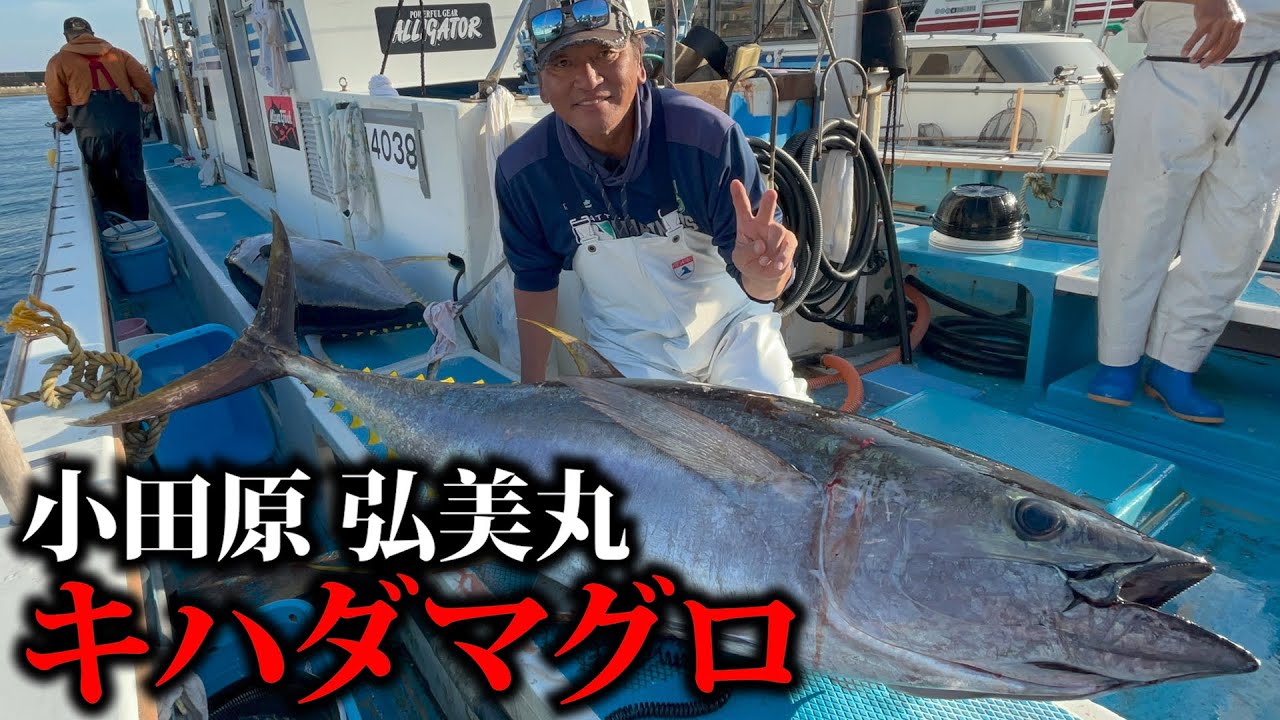 キハダマグロ1222