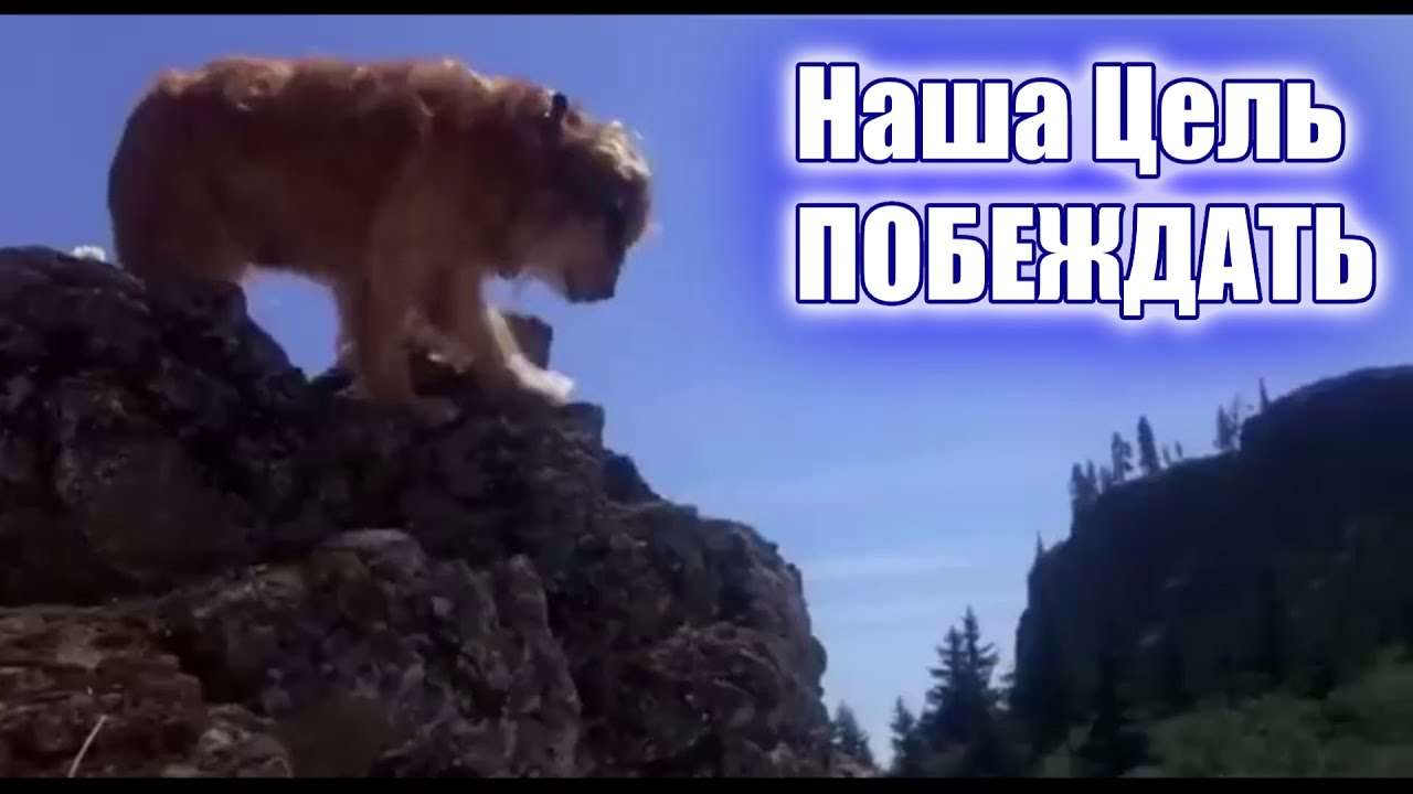 Наша цель - побеждать (Жизнь привыкли мы мерить годами) Herzensmelodie | Христианские песни